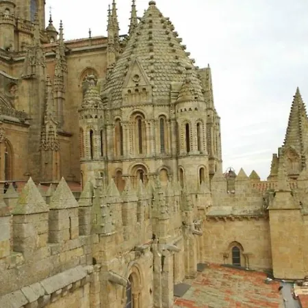 San Marcos Salviva